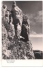 Carte postala(ilustrata) -Muntii Bucegii-Brina Portitei, Necirculata, Fotografie