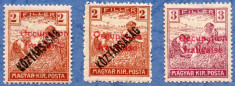 1919 Ocupatia franceza in Arad 2 timbre noi FARA sarniera + 1 timbru fals foto
