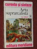 ARTA SUPRAREALISTA - ION BIBERI