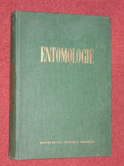 ENTOMOLOGIE - M.A. IONESCU foto