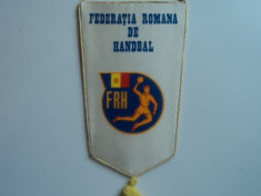 Fanion FEDERATIA ROMANA de HANDBAL foto