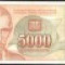 Iugoslavia 5000 dinari 1993, circulate, 2 bucati, 5 roni bucata