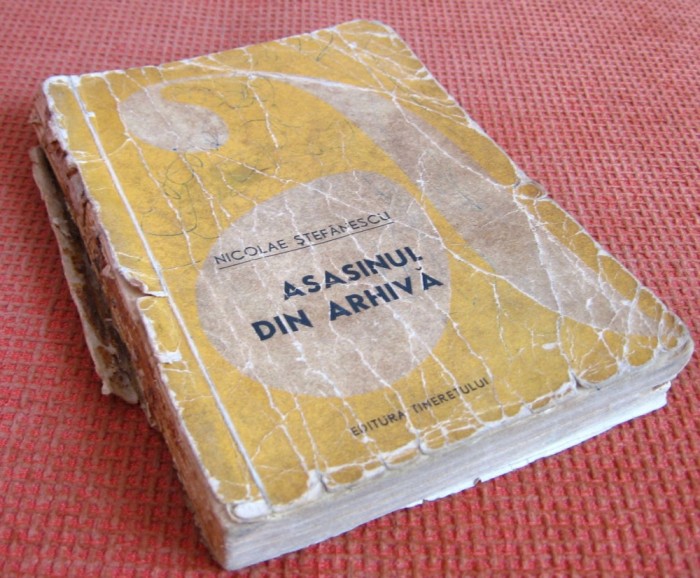 Nicolae Stefanescu - Asasinul din arhiva