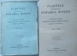 Cumpara ieftin Zach C. Pantu , Plantele cunoscute de poporul roman ; Vocabular botanic , 1929, Alta editura