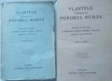 Zach C. Pantu , Plantele cunoscute de poporul roman ; Vocabular botanic , 1929, Alta editura