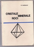 10A(205)- G.Mastacan-CRISTALE MINERALE ROCI