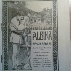 revista albina+supliment 22 noiembrie 1909 ( cuvanatrea regelui carol 1 )