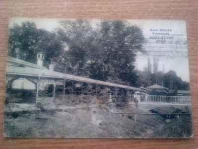 TIMIS- BAIA BUZIAS. foto