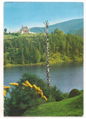 carte postala(ilustrata) -Cimpul lui Neag-CABANA foto