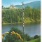 carte postala(ilustrata) -Cimpul lui Neag-CABANA