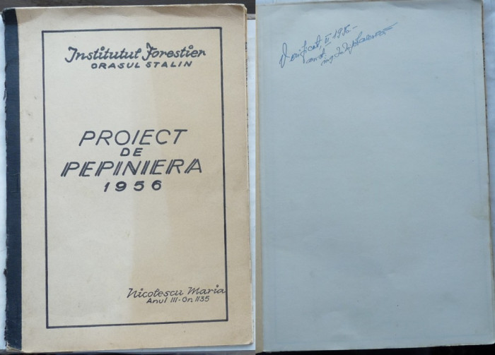 Institutul Forestier orasul Stalin , Proiect de pepiniera , 1956