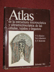 ATLAS DE LA ESTRUCTURA MICROSCOPICA Y ULTRA MICROSCOPICA DE LAS CELULAS, TEJIDOS Y ORGANOS - V.G. ELISEIEV, YU.I.AFANESIEV, E.F.KOTOVSKI foto