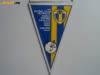 FANION FOTBAL CLUB PETROLUL PLOIESTI