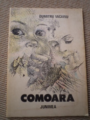 comoara dumitru vacariu editura junimea 1988 ilustarata desene carte copii foto