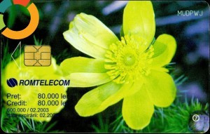 Cartela telefonica Romtelecom, Flori 7, tiraj 600.000 exemplare, circulate, 2 bucati, 1 ron