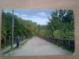 PIATRA NEAMT- PARCUL COZIA.