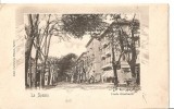 CPI (B2483) ITALIA. LA SPEZIA, VIALE GARIBALDI, EDITURA CARTOLERIA MILANO, SPEZIA, CIRCULATA 21.IAN. 1902, STAMPILA