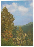 Carte postala(ilustrata) -TUSNAD BAI-Stanca Soimilor, Necirculata, Printata