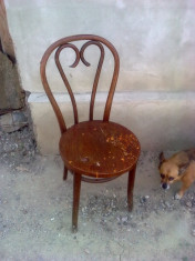 SCAUN THONET. foto