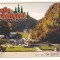 carte postala(ilustrata) -BRASOV-MOECIU-Cheile Gradistei