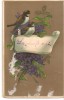 CPI (B2561) FELICITARE , LA MULTI ANI, CIRCULATA 1910,, Europa, Fotografie