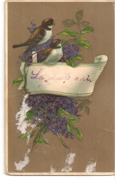 CPI (B2561) FELICITARE , LA MULTI ANI, CIRCULATA 1910,