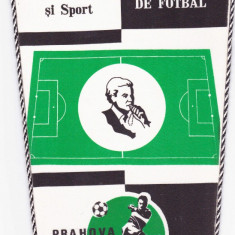 Fanion Colegiul Arbitrilor de Fotbal PRAHOVA