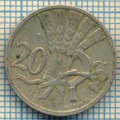 556 MONEDA - CEHOSLOVACIA - 20 HALERU -anul 1930 -starea care se vede