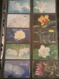 Lot 20 cartele telefonice cu flori si animale, China + folie de plastic + taxele postale = 30 roni