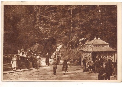 carte postala(ilustrata) -SLANIC MOLDOVA-Izvor cu apa minerala foto