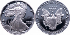 SUA American Eagle Dollar 1988 moneda de Argint foto