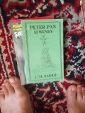 PETER PAN SI WENDY