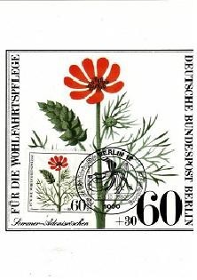 6596 - carte maxima Germania Berlin 1980 foto