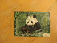 Kinder puzzle Panda foto