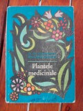 PLANTELE MEDICINALE - ELENA MARIA HATIEGANU -