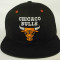 Sapca Chicago BULLS-cel mai mic pret-