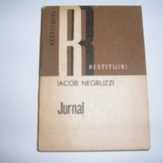 Jurnal - Autor : Iacob Negruzzi,RF1/3,RF4/2