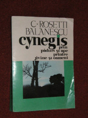 Cynegis (prin paduri si ape,printre jivine si oameni - C.Rosetti Balanescu foto