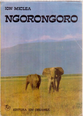 NGORONGORO - ION MICLEA - 1974 - ALBUM ILUSTRAT ANIMALE SALBATICE foto