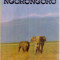 NGORONGORO - ION MICLEA - 1974 - ALBUM ILUSTRAT ANIMALE SALBATICE