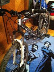 Bicicleta Cross CrossCountry/Downhill/Freeride foto