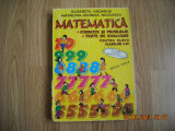 MATEMATICA.EXERCITII SI PROBLEME.TESTE DE EVALUARE-ELISABETA MESAROS-G.NICOLESCU