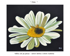 Tablou living, dormitor, hol - Tablou floral 60x50cm - Polen (2) - LIVRARE GRATUITA IN 24-48h foto