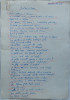 Taietorul de lemne ; Poezie ; Manuscris olograf Romulus Vulpescu , 3 foi , 1961