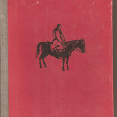 (C4039) ROMANUL CATERINEI VARGA DE VLAICU BIRNA, EDITURA TINERETULUI, 1960, COPERTA SI ILUSTRATII DE ABODI NAGY BELA