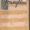 (C4033) BADMINTON DE V. MARCU, EDITURA SPORT-TURISM, 1989
