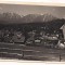 carte postala(ilustrata)-PREDEAL-vedere spre masivul Bucegi anul 1939