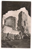 Carte postala(ilustrata)-TARGU NEAMT-Ruinele cetatii Neamtului