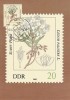 2343 - Germania DDR carte maxima 1982
