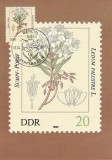 2343 - Germania DDR carte maxima 1982